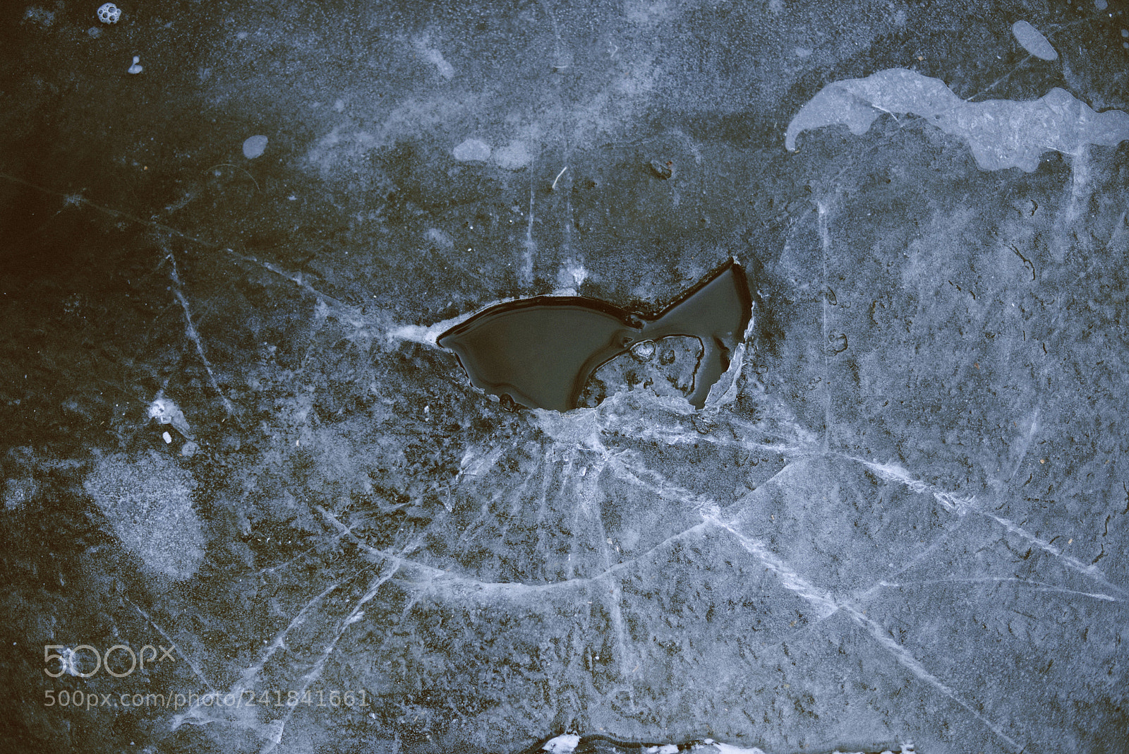 Nikon D600 sample photo. Cracked photography