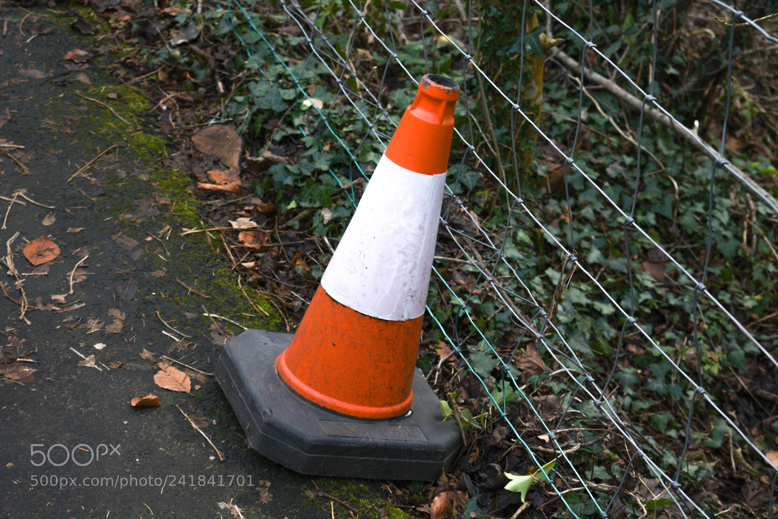 Nikon D3400 sample photo. Cwmcarn park photography