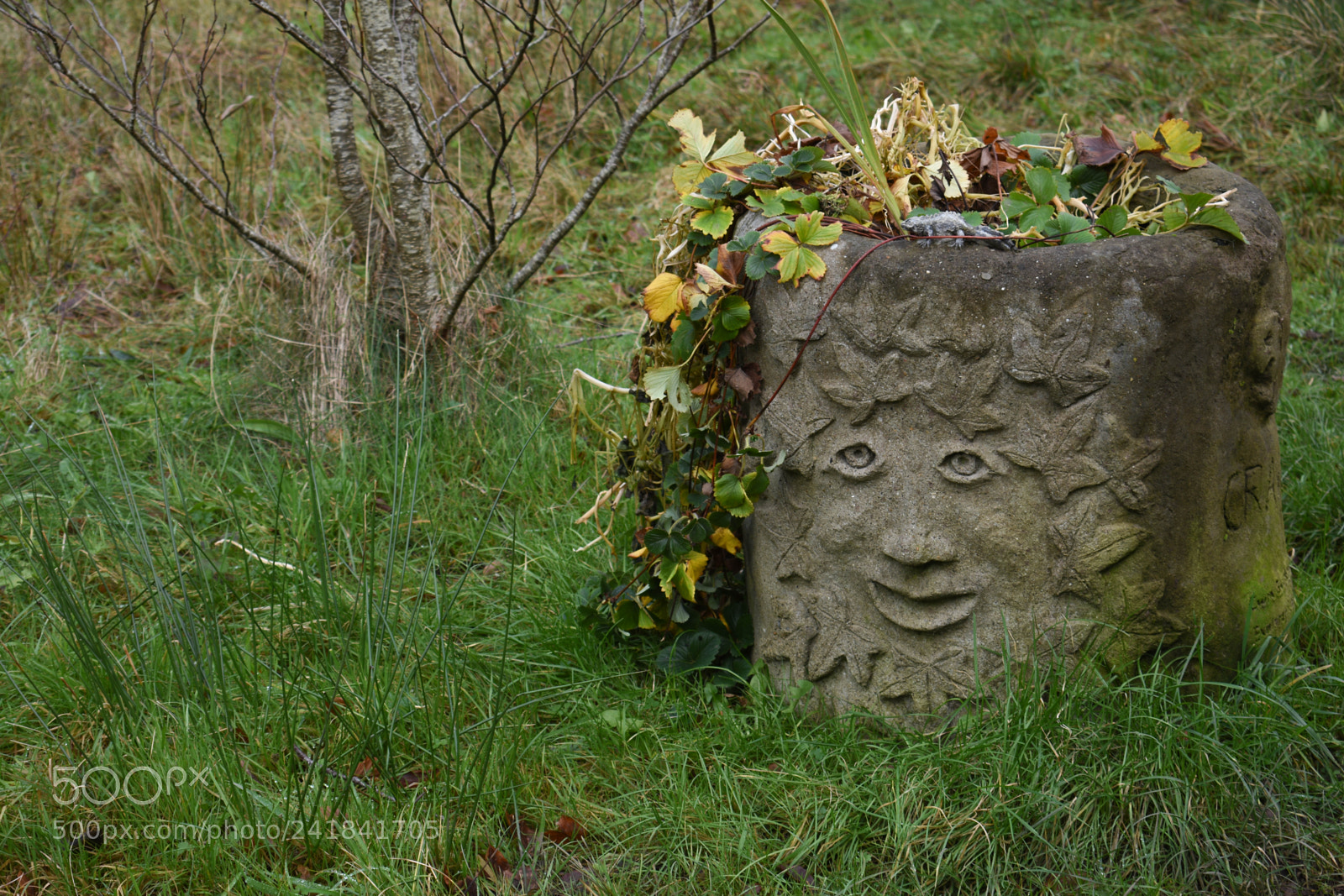 Nikon D3400 sample photo. Cwmcarn park photography