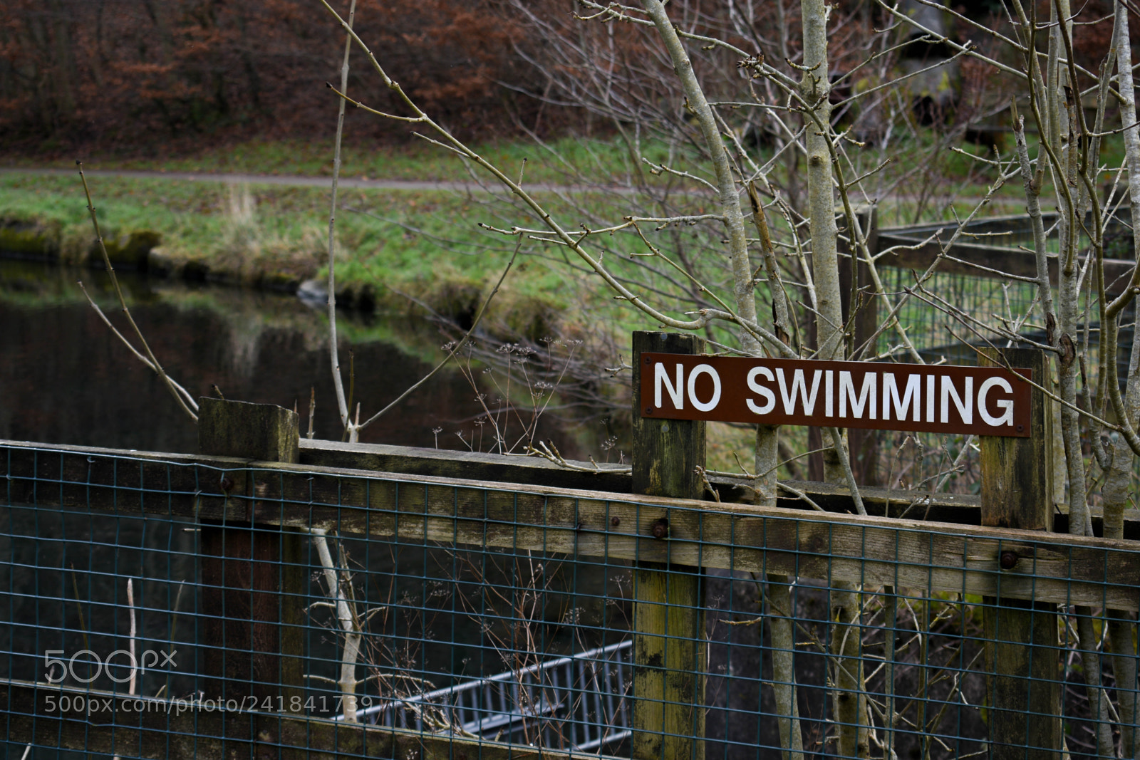 Nikon D3400 sample photo. Cwmcarn park photography