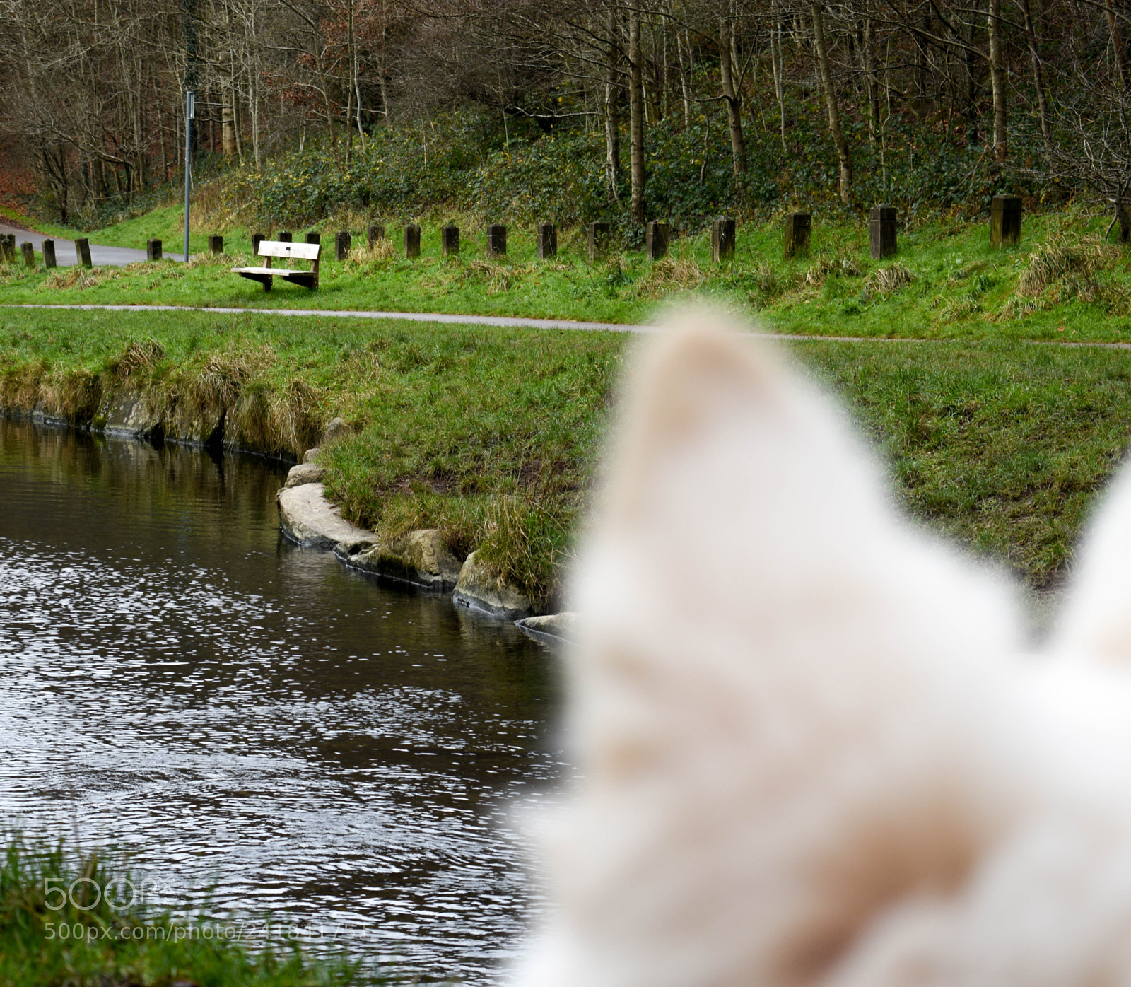 Nikon D3400 sample photo. Cwmcarn park photography