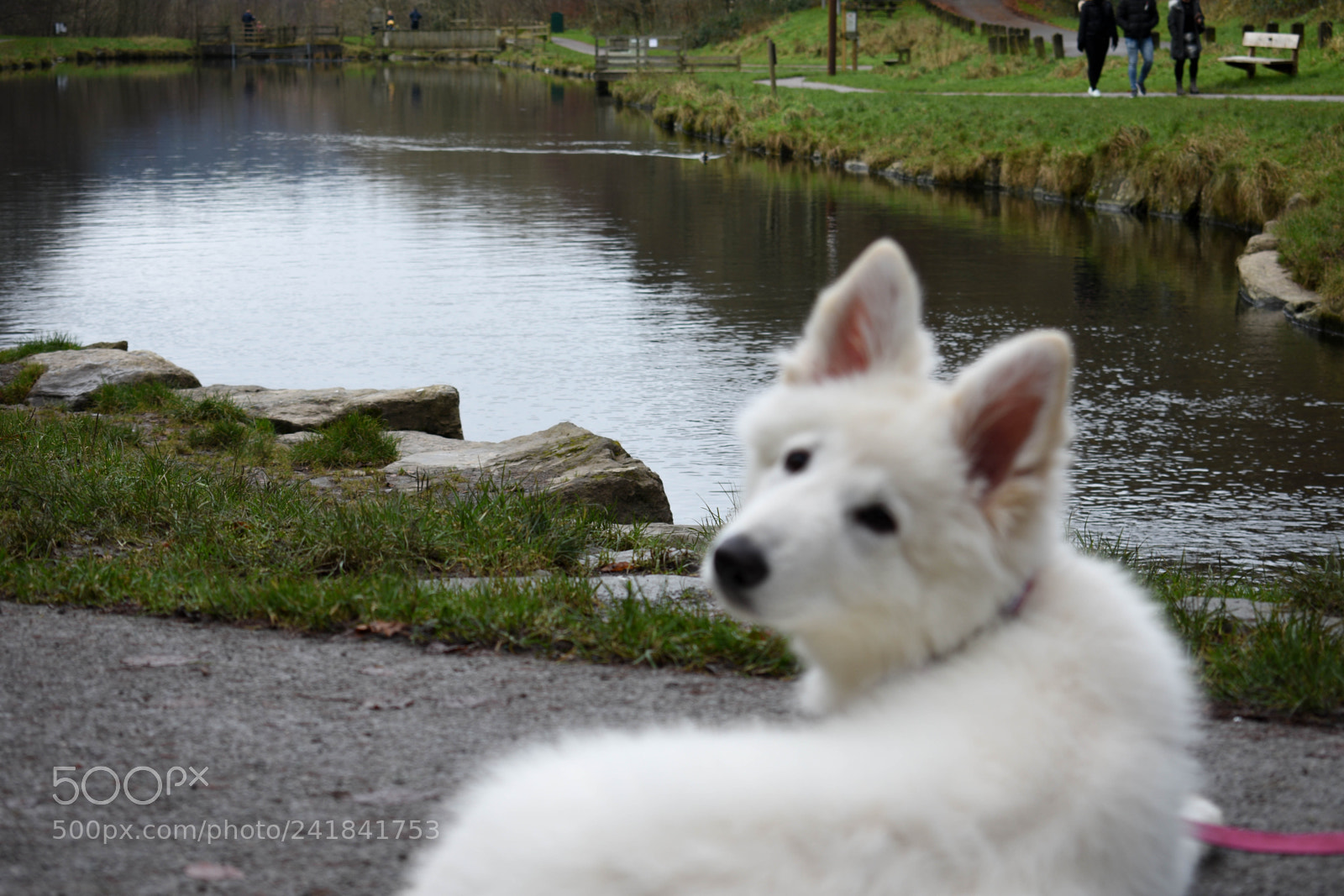 Nikon D3400 sample photo. Cwmcarn park photography