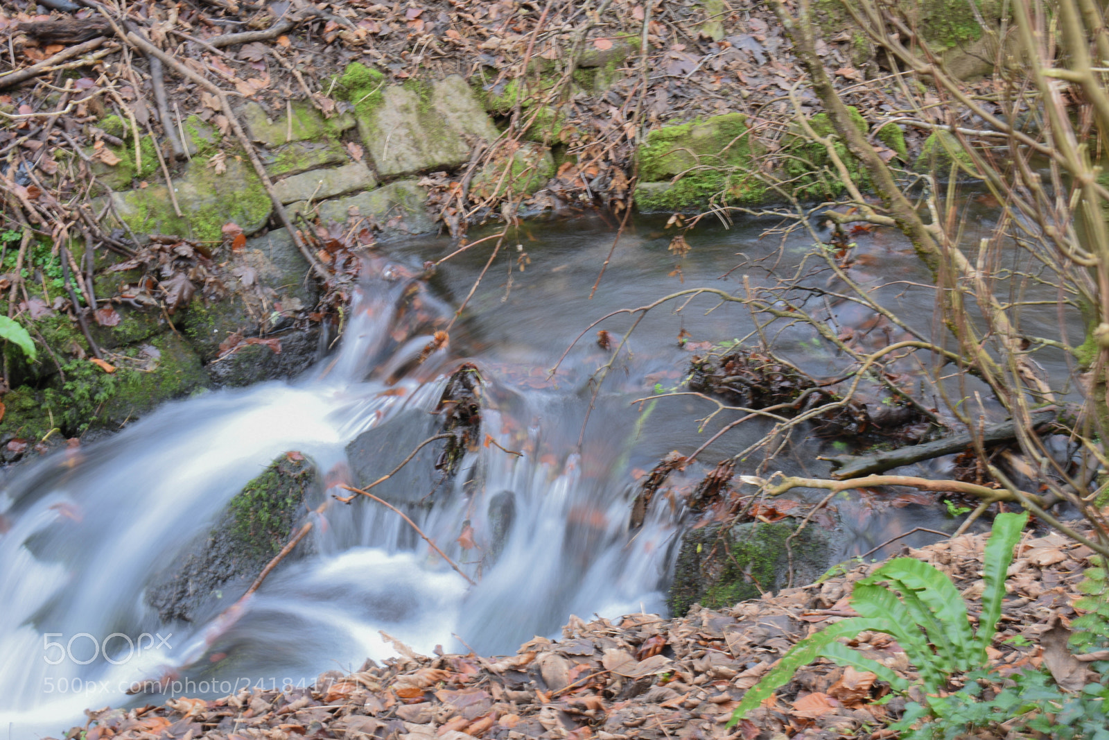 Nikon D3400 sample photo. Cwmcarn park photography