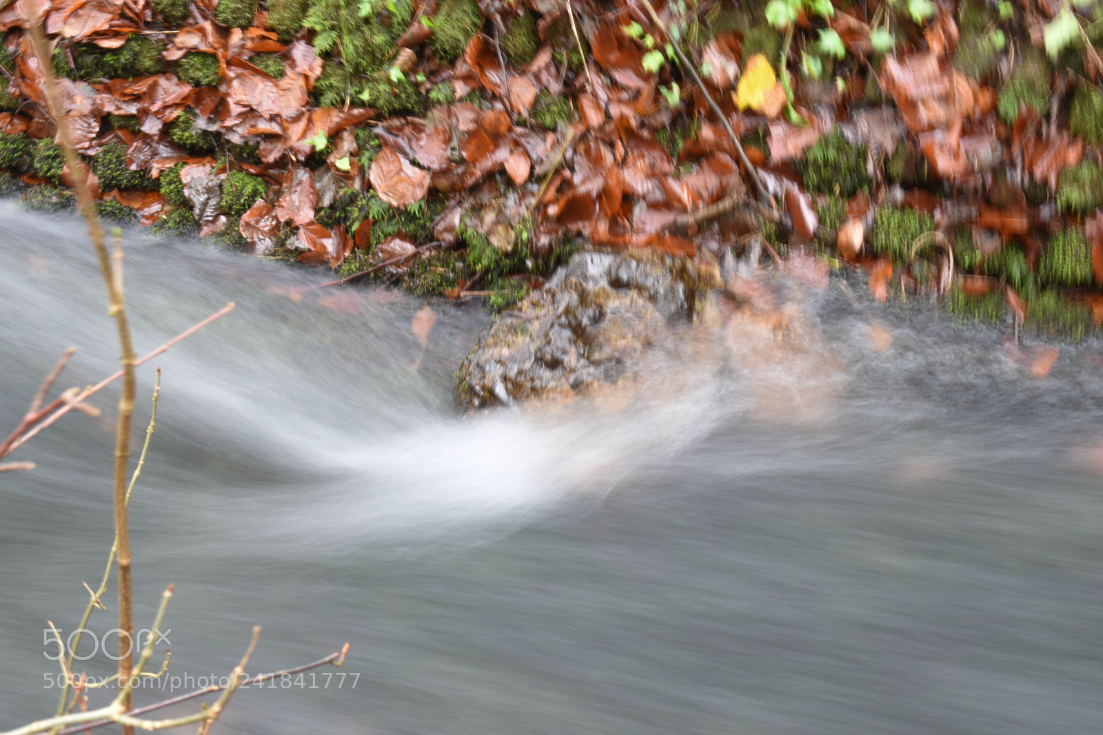 Nikon D3400 sample photo. Cwmcarn park photography