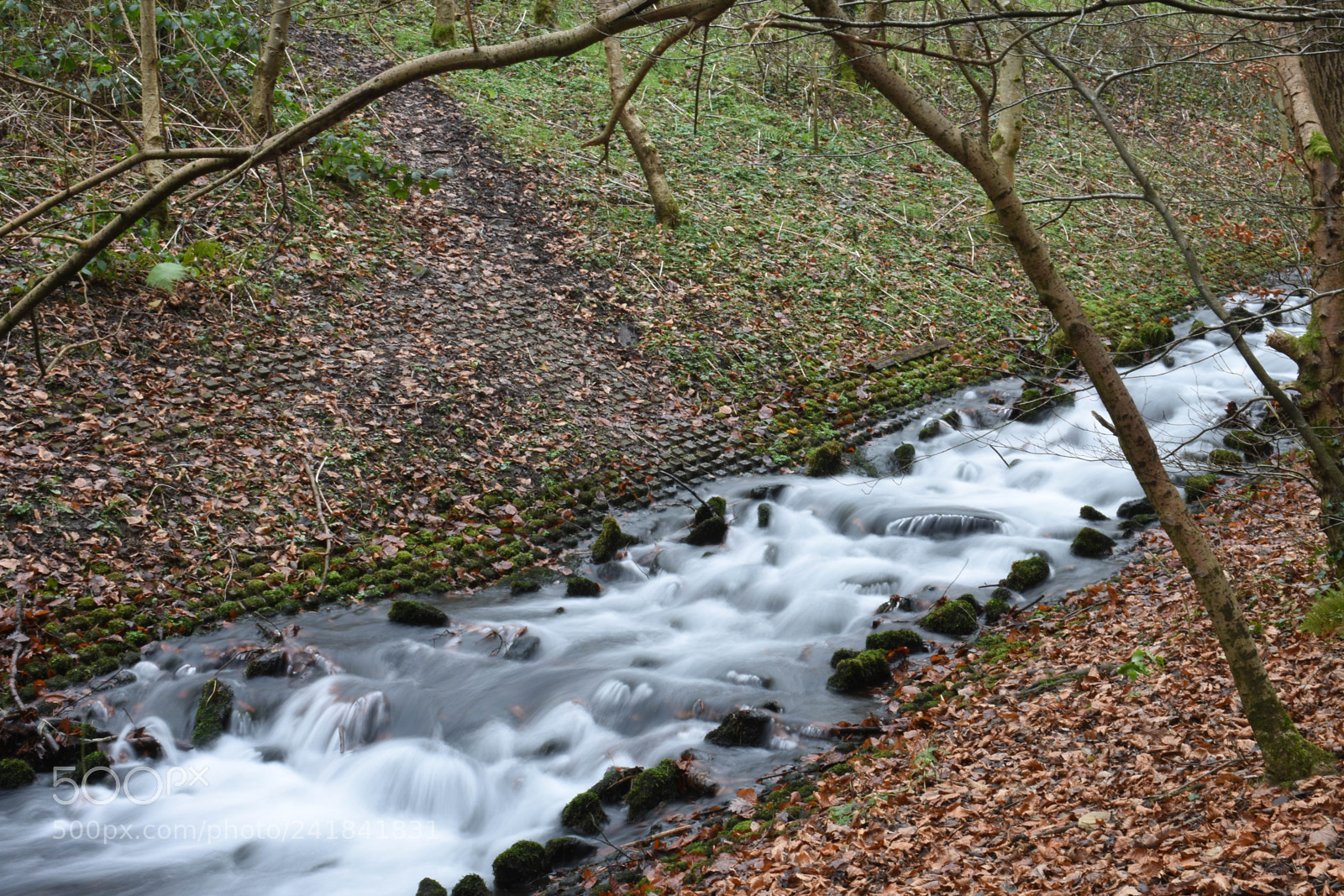 Nikon D3400 sample photo. Cwmcarn park photography