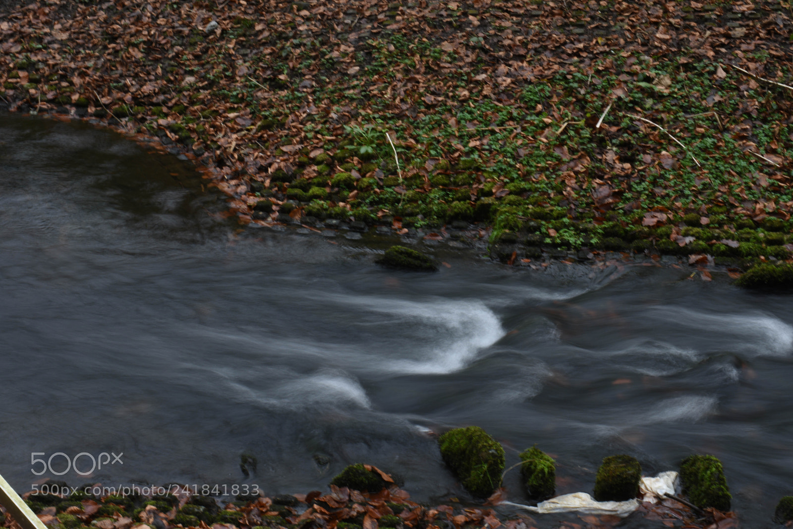 Nikon D3400 sample photo. Cwmcarn park photography