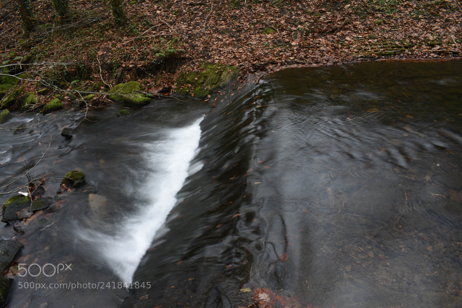 Nikon D3400 sample photo. Cwmcarn park photography