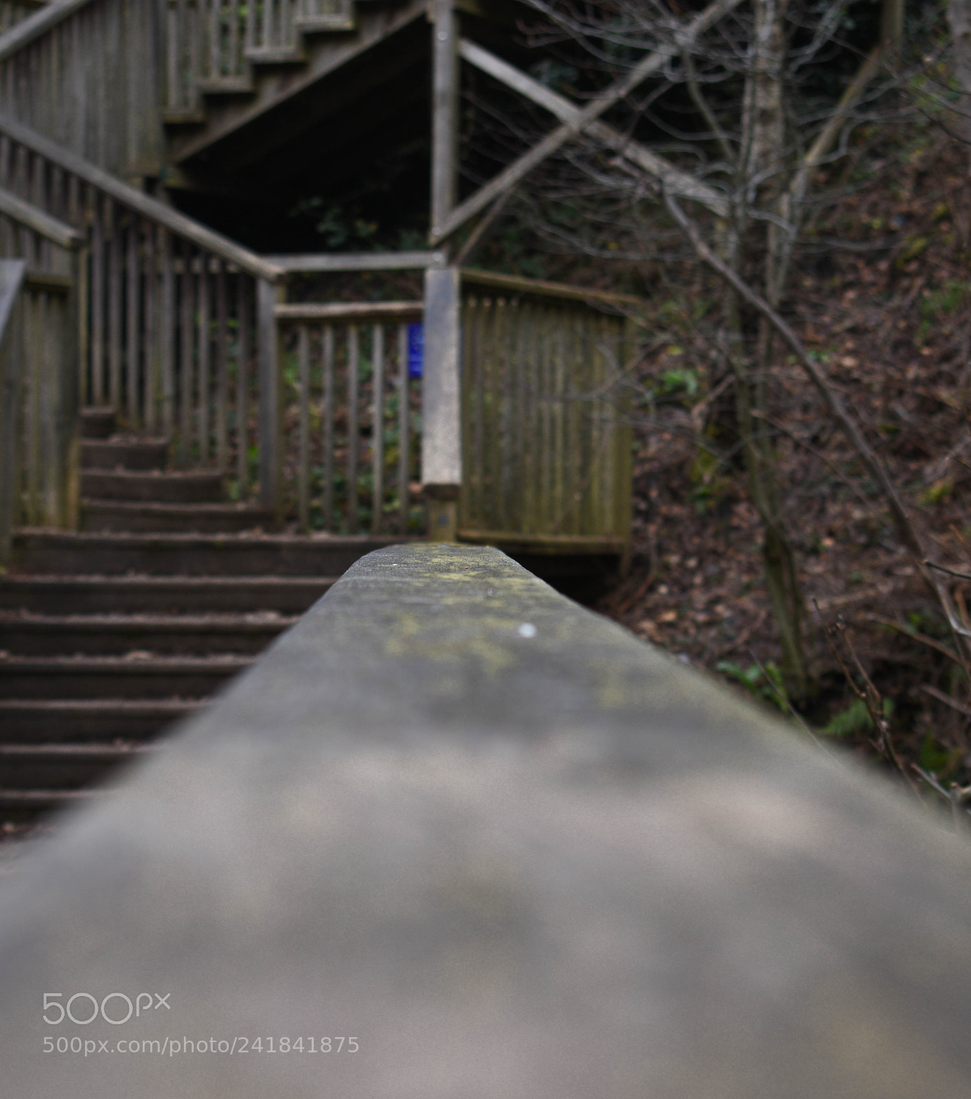 Nikon D3400 sample photo. Cwmcarn park photography