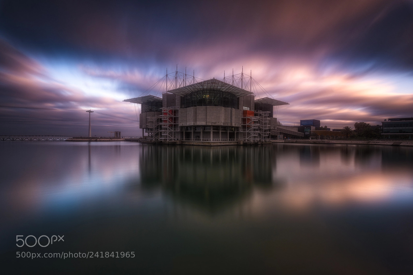 Nikon D810 sample photo. Lisboa aquarium photography
