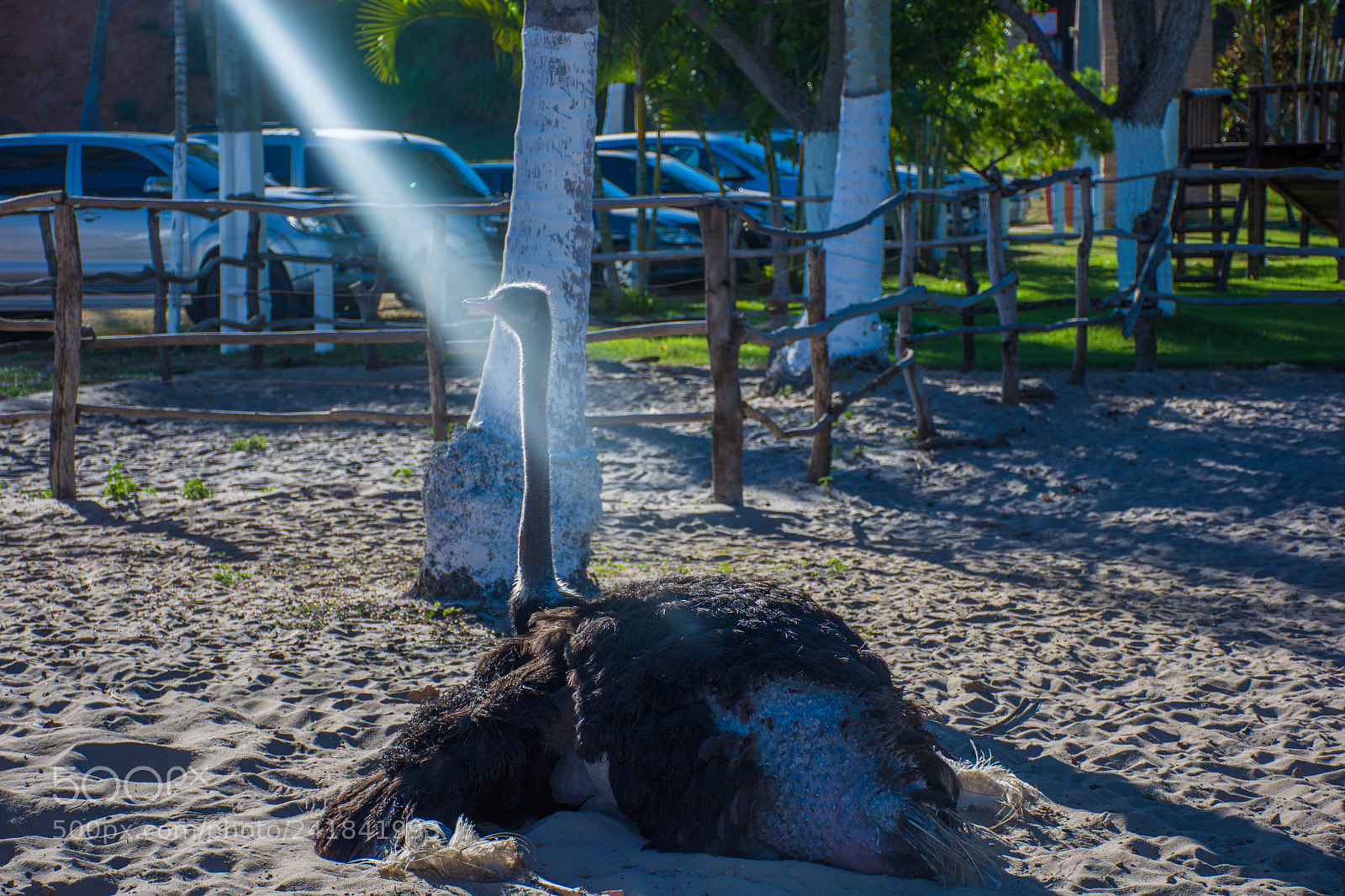 Nikon D7200 sample photo. Untitled photography
