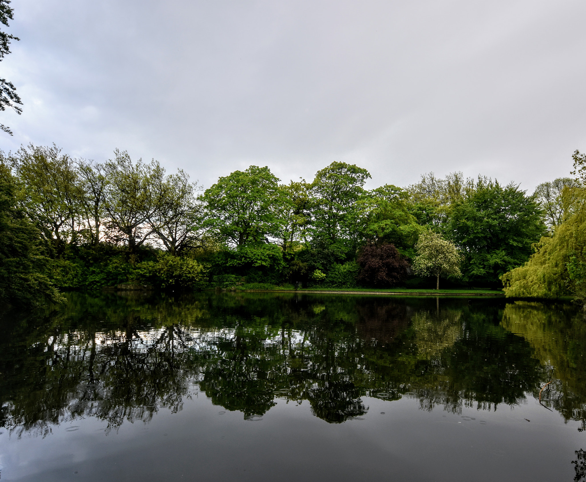 Nikon D7200 + Sigma 10-20mm F4-5.6 EX DC HSM sample photo. Reflex of trees! photography