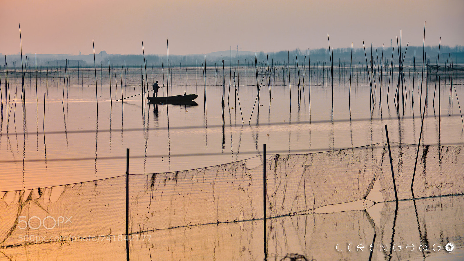 Nikon D800 sample photo. Untitled photography