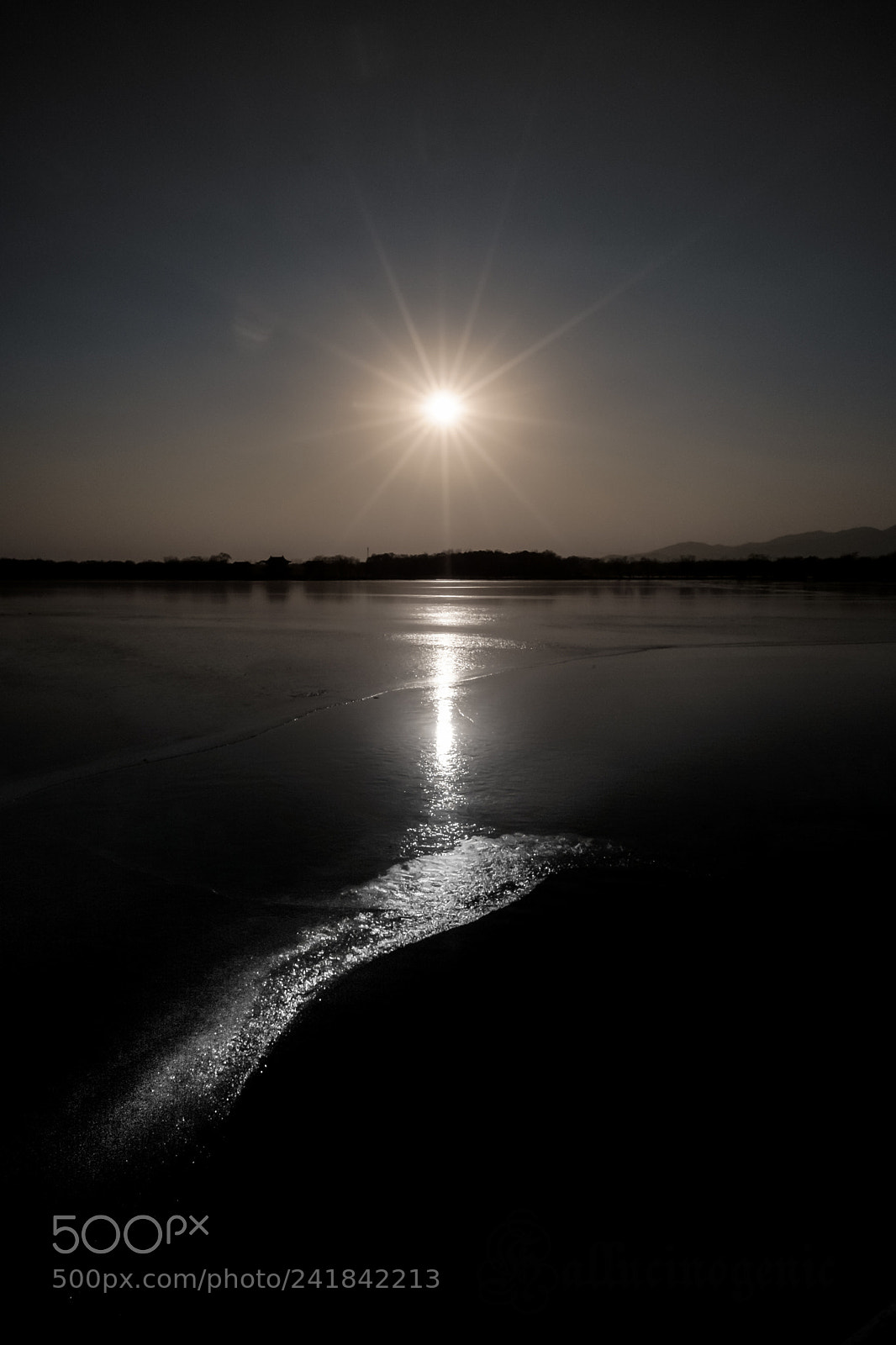 Fujifilm X-Pro1 sample photo. Under the sun photography