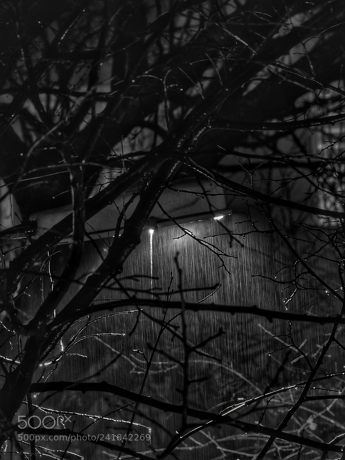 Sony SLT-A77 sample photo. Rain... photography