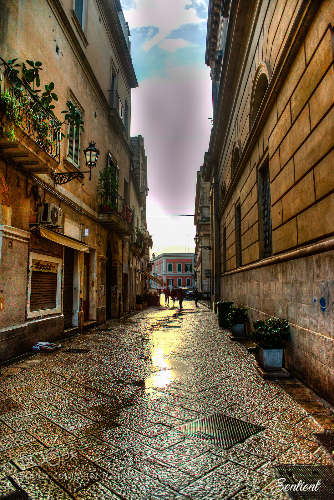 Nikon D800 sample photo. Morning passeggiata photography