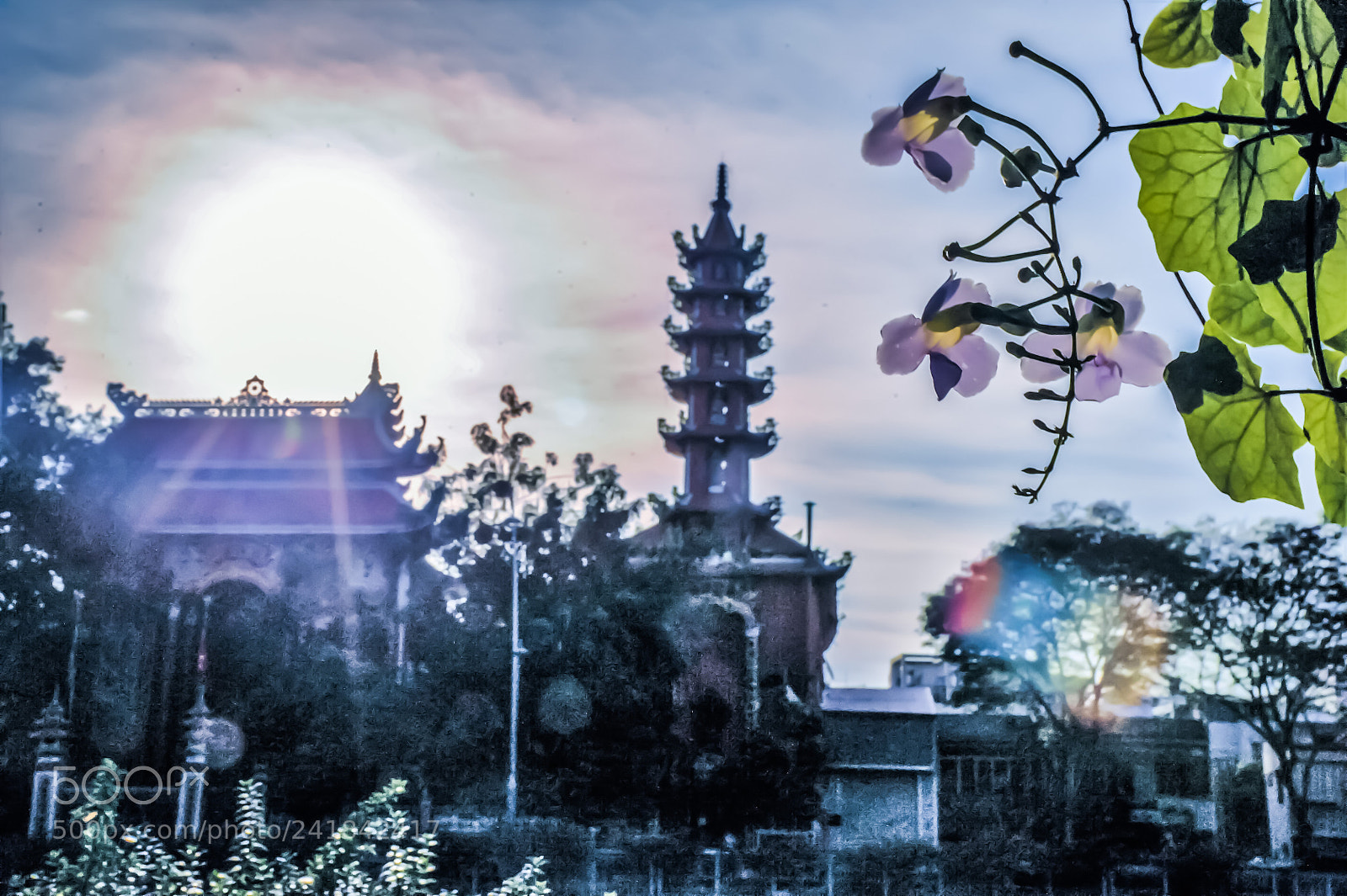 Nikon D700 sample photo. Sunlight photography