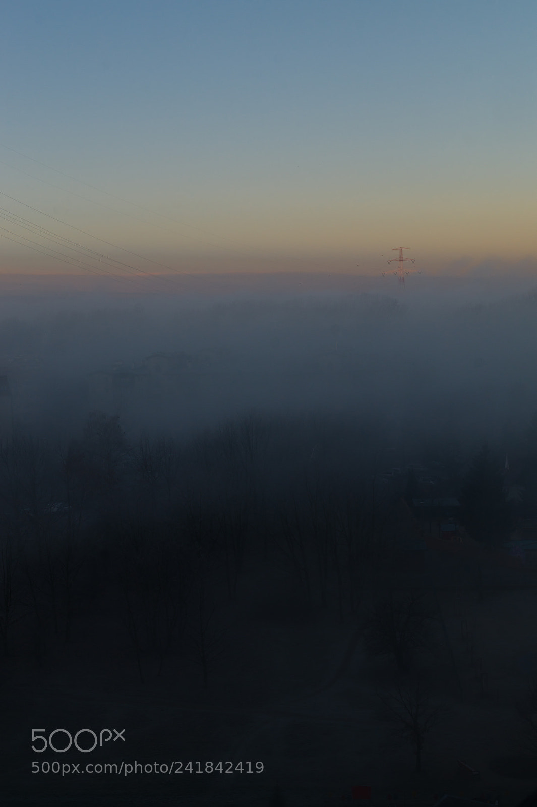 Sony SLT-A58 sample photo. Good morning photography