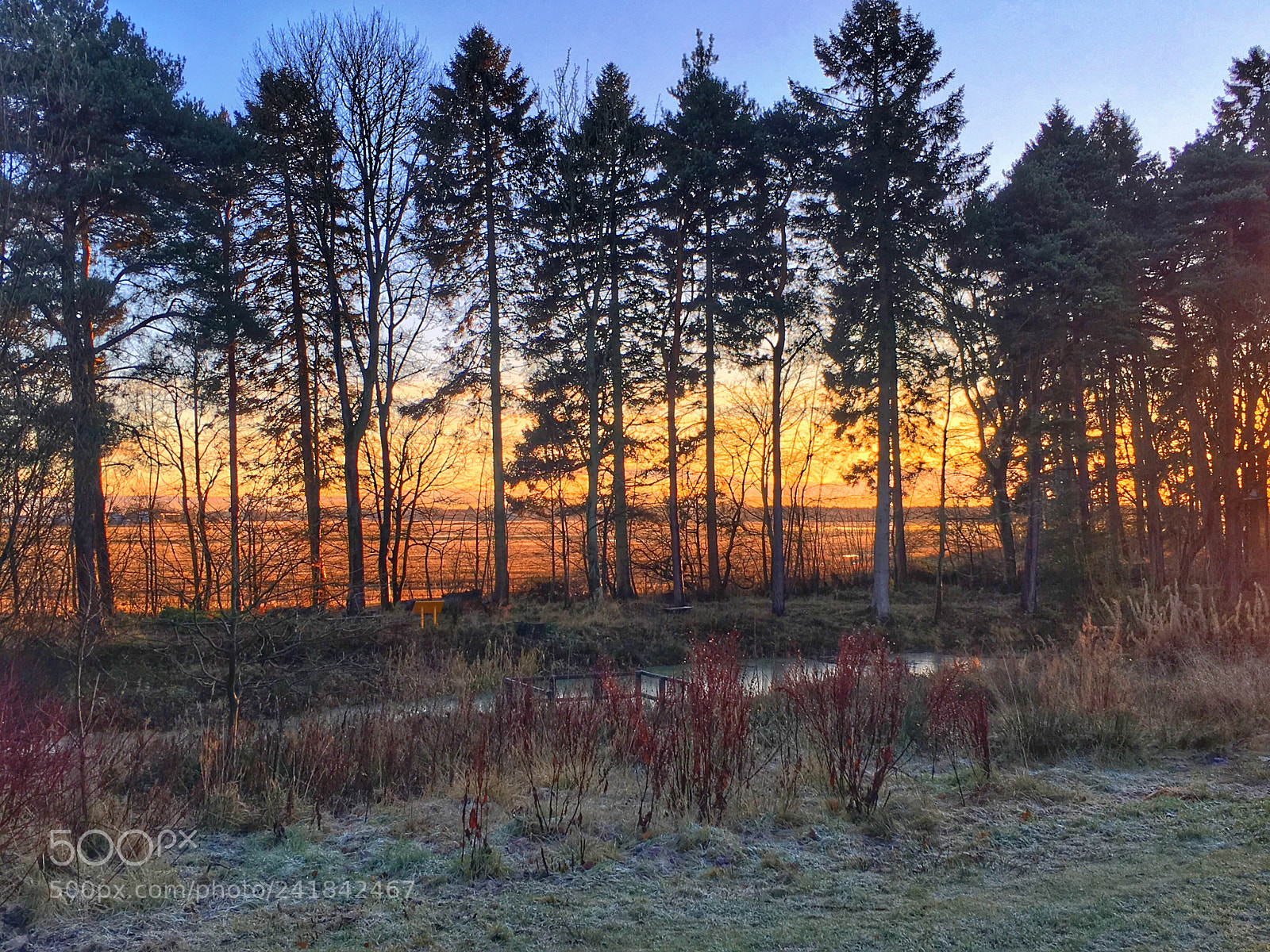 Apple iPhone 6s sample photo. Scotland photography