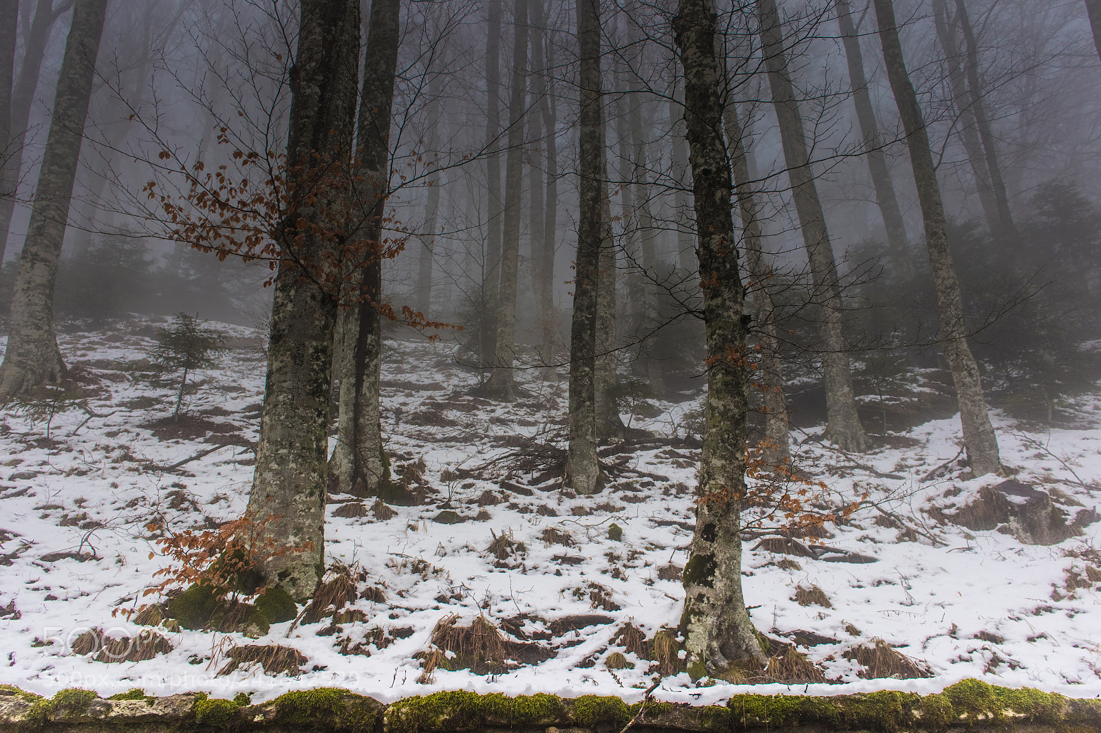 Canon EOS M6 sample photo. Labyrinth photography