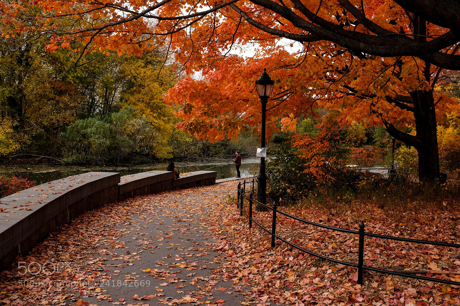 Fujifilm X100T sample photo. Park photography