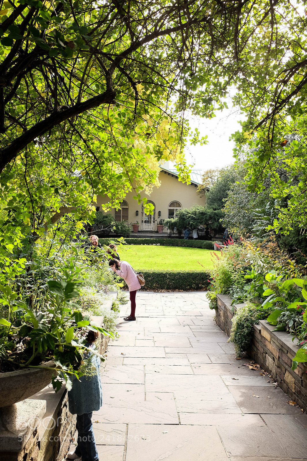 Fujifilm X100T sample photo. Garden photography