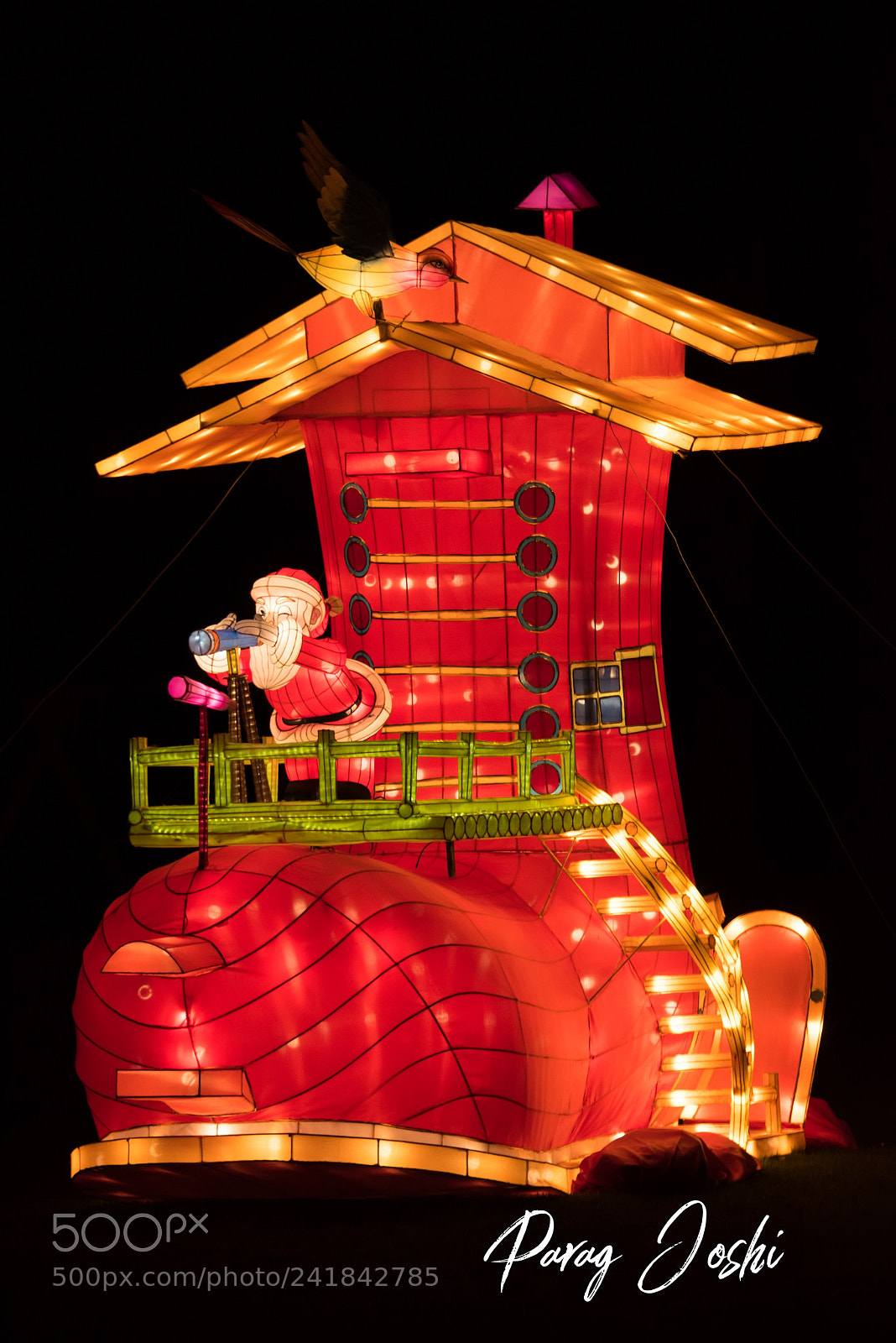 Nikon D810 sample photo. Magical lantern photography