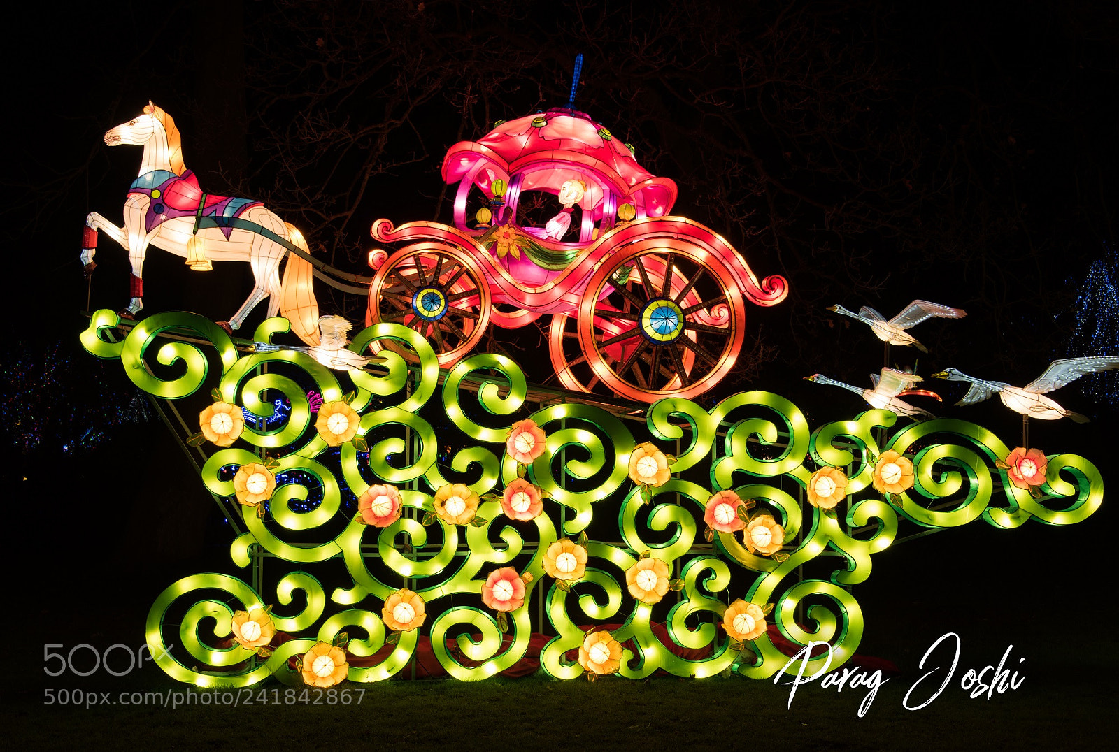 Nikon D810 sample photo. Magical lantern photography