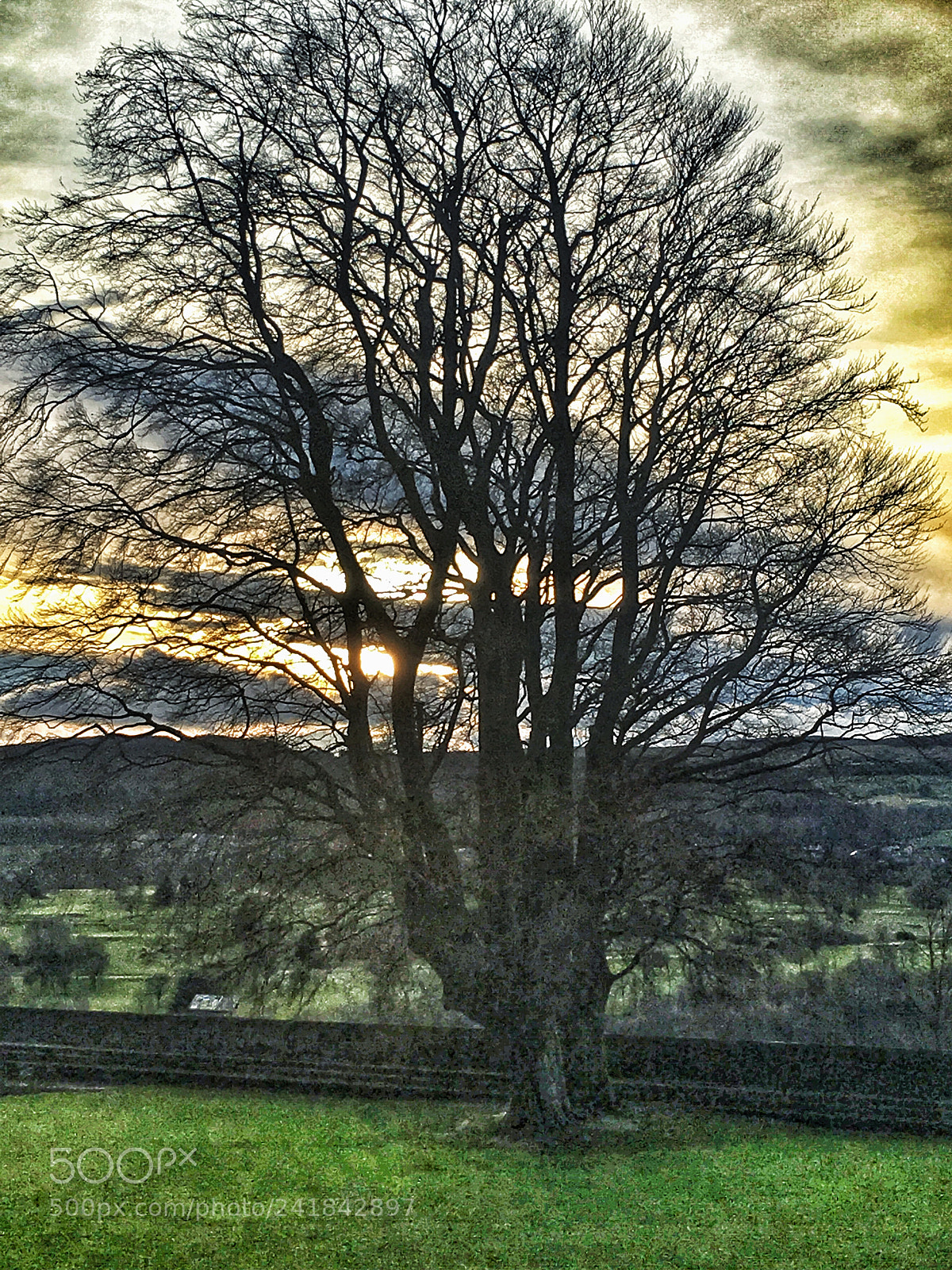 Apple iPhone 6s sample photo. Edinburgh photography