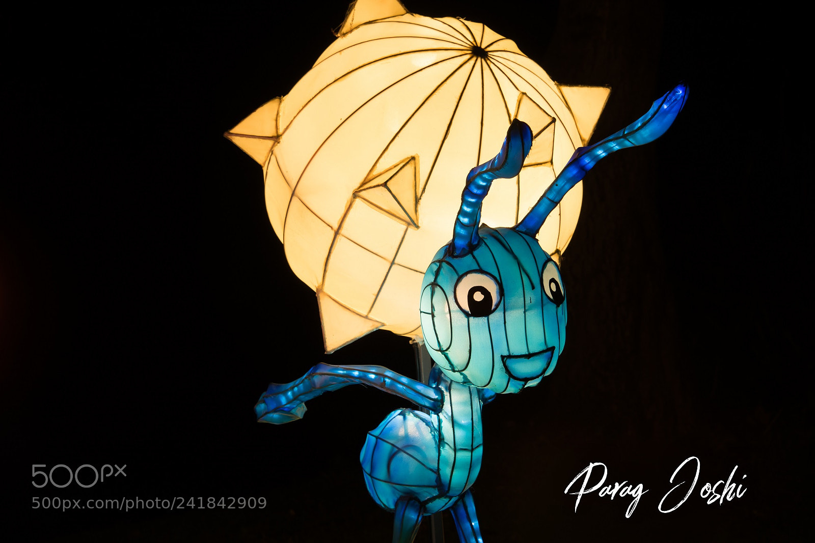 Nikon D810 sample photo. Magical lantern photography
