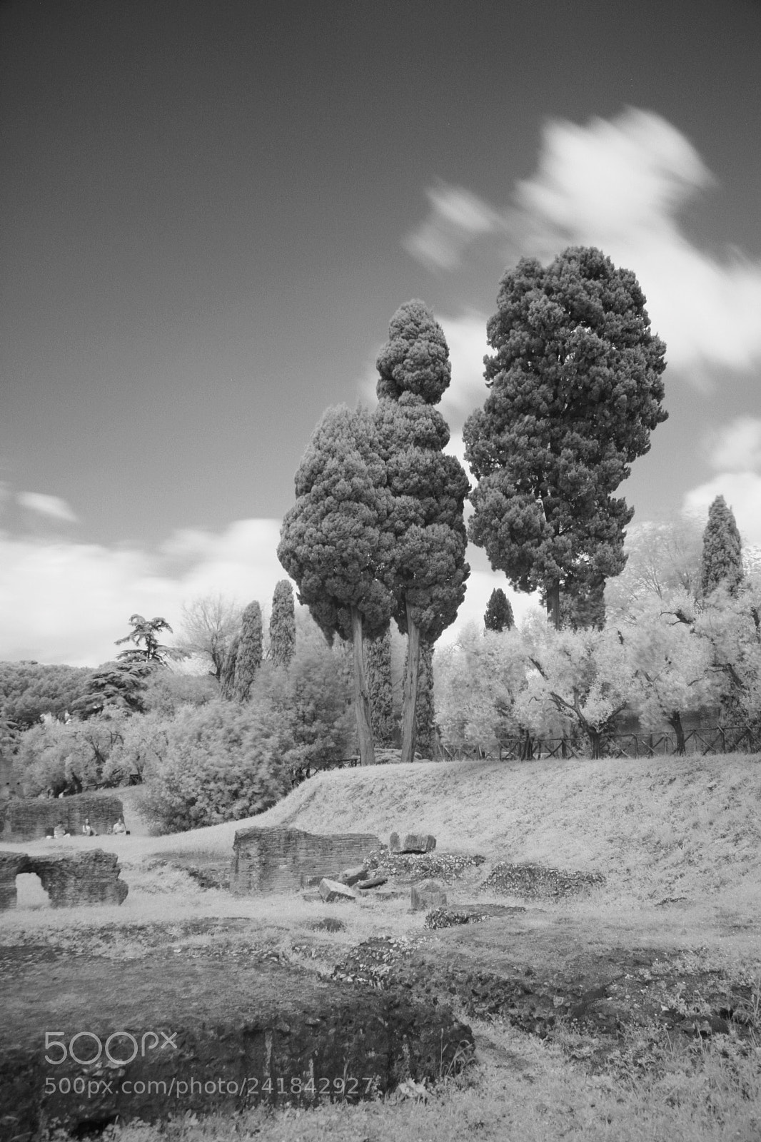Canon EOS 30D sample photo. () photography