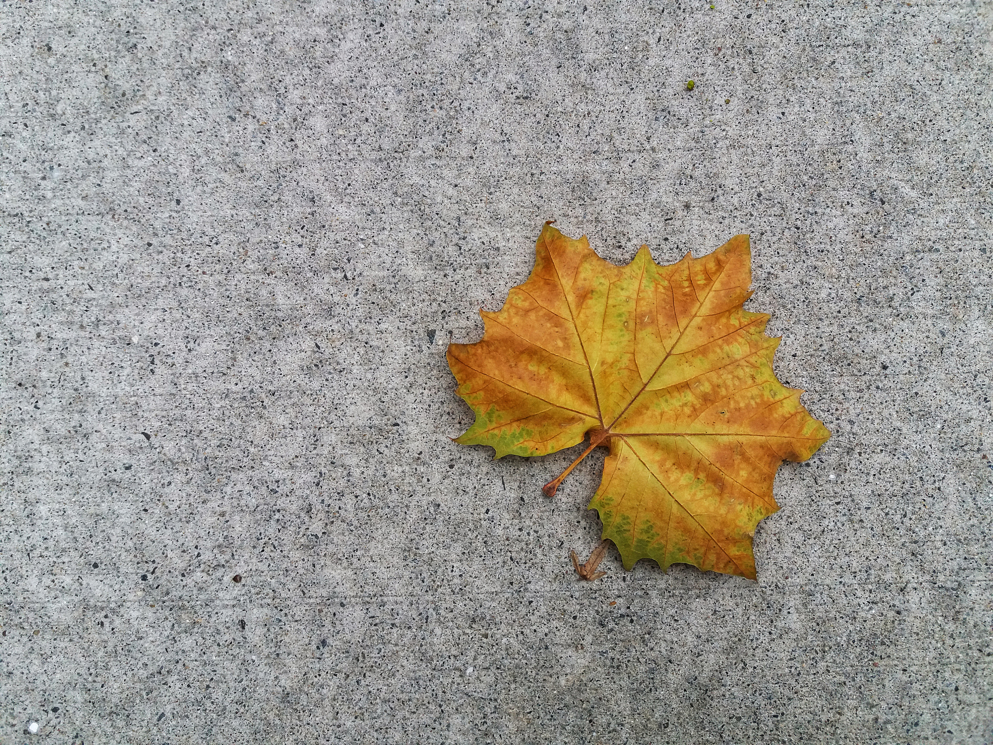 Samsung Galaxy J7(2015) sample photo