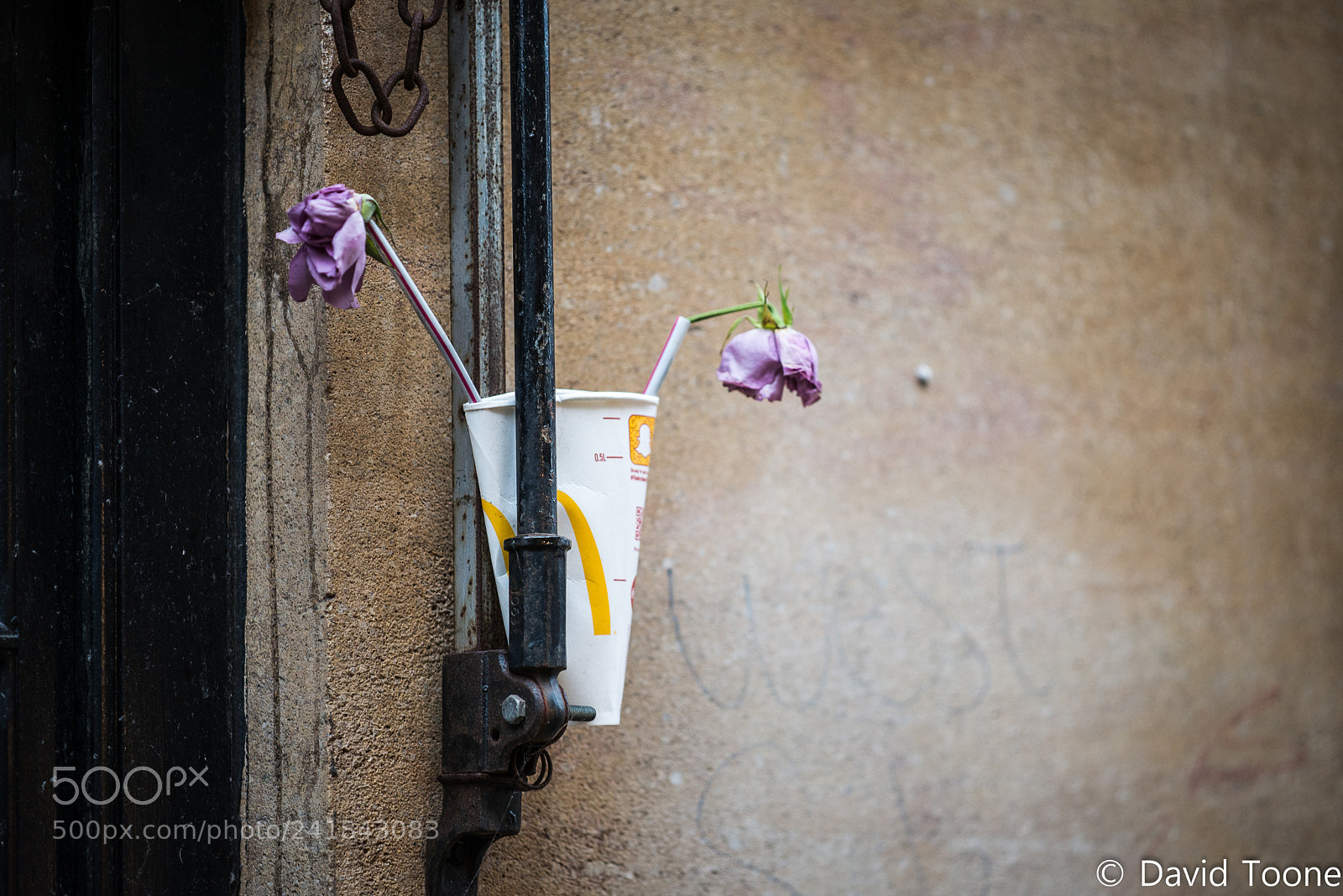Nikon D800 sample photo. Who said romance is photography