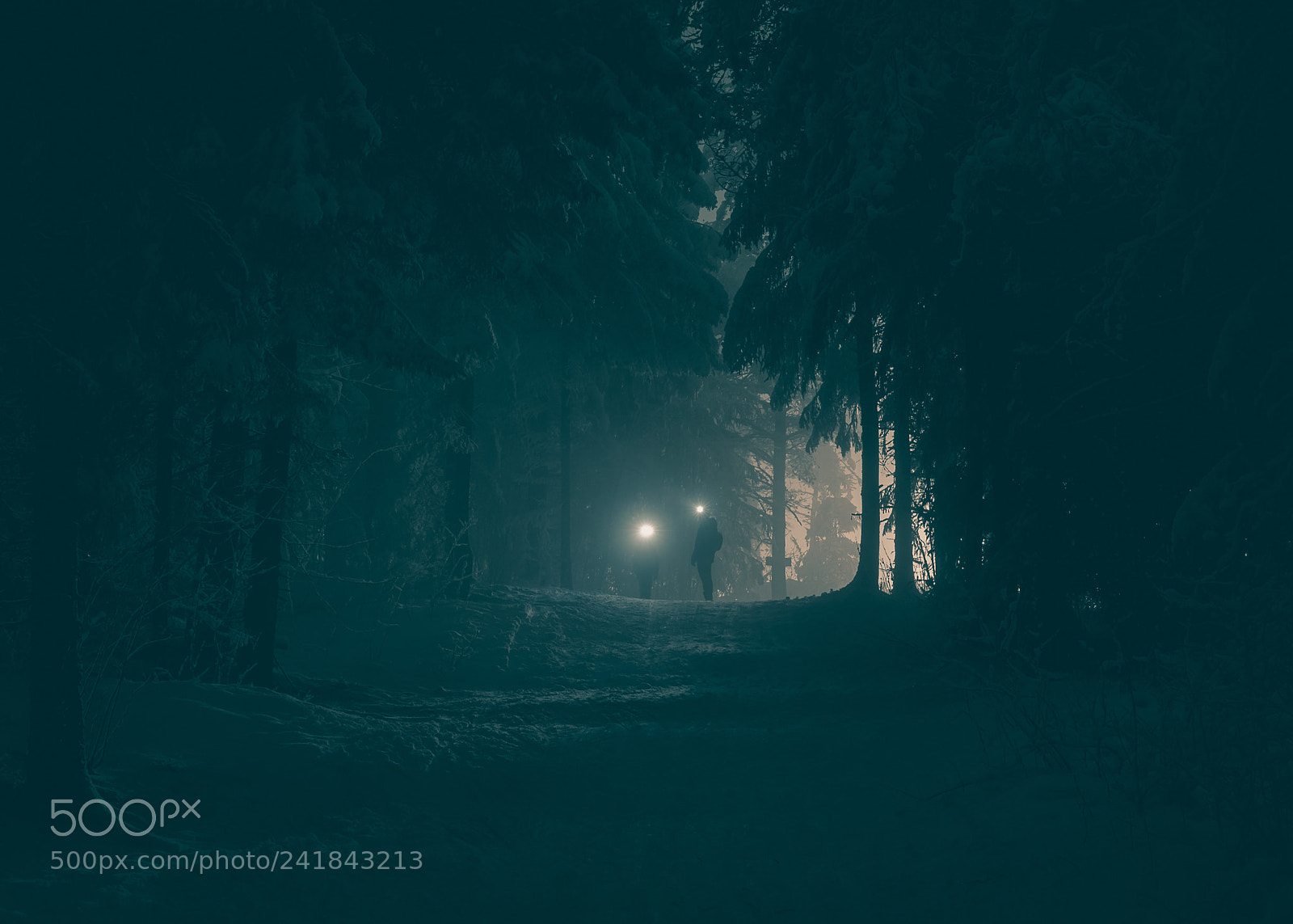 Nikon D600 sample photo. Hunting trolls photography