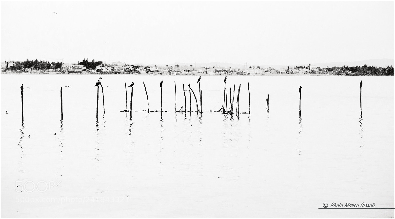 Nikon D90 sample photo. Untitled photography