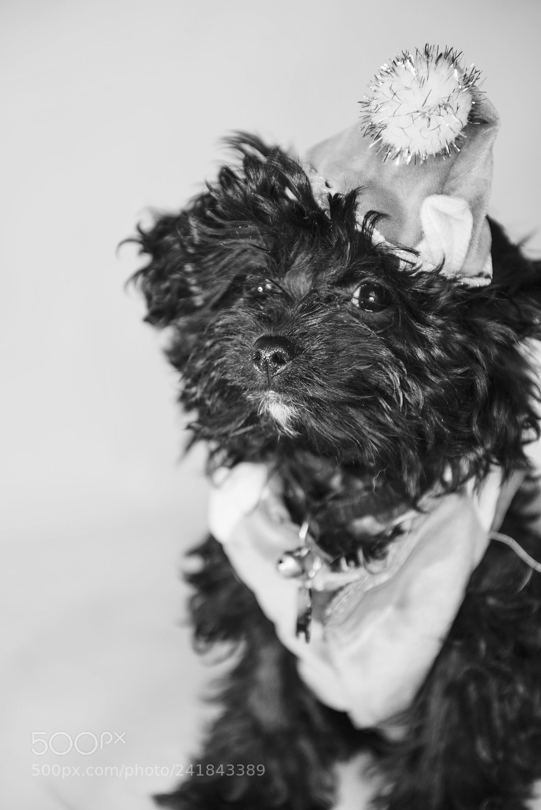 Nikon D800 sample photo. Scout photography