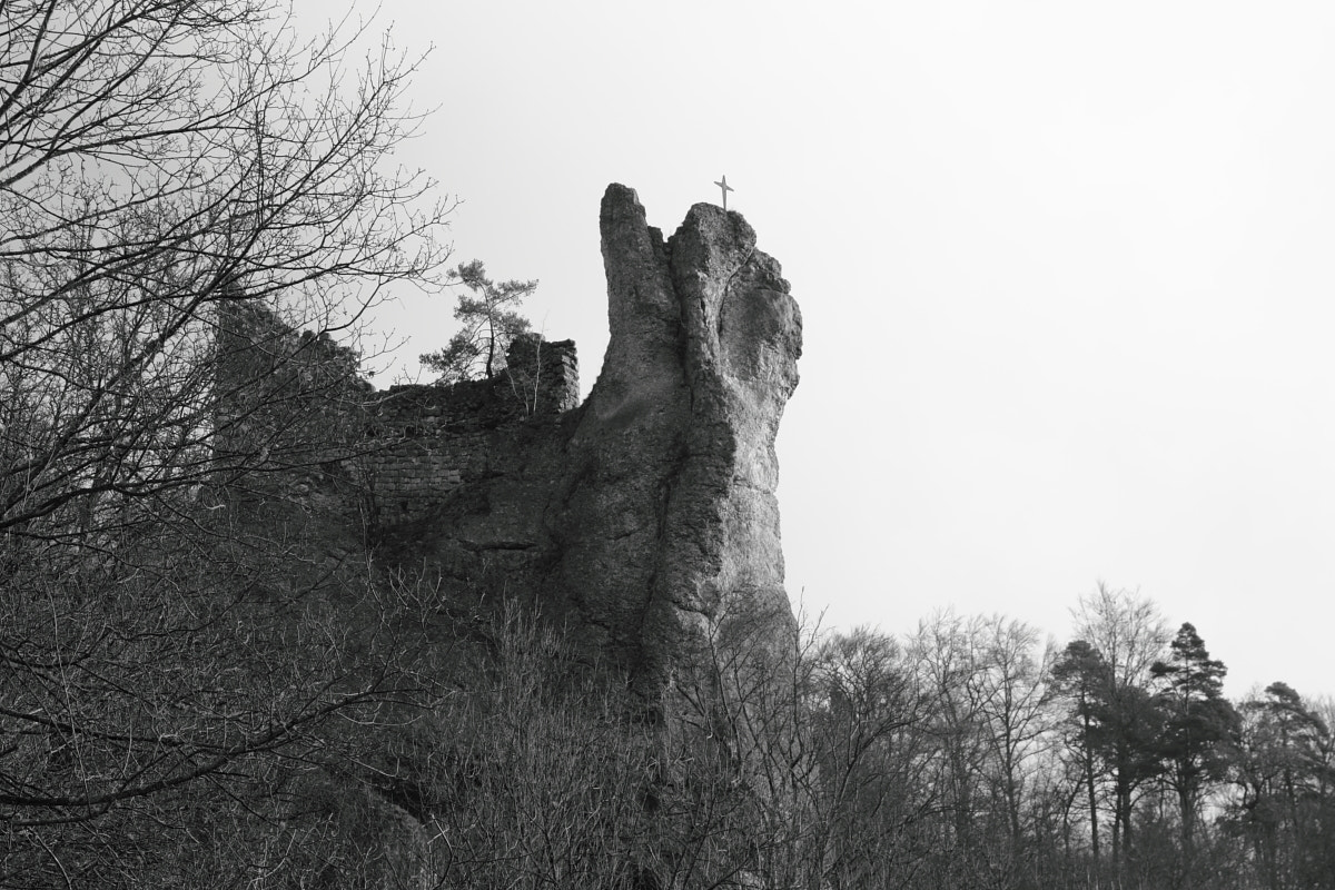 Canon EF-S 18-135mm F3.5-5.6 IS sample photo. Upper danube nature park - 5 photography