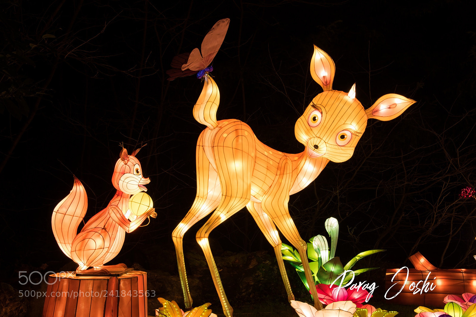 Nikon D810 sample photo. Magical lantern photography