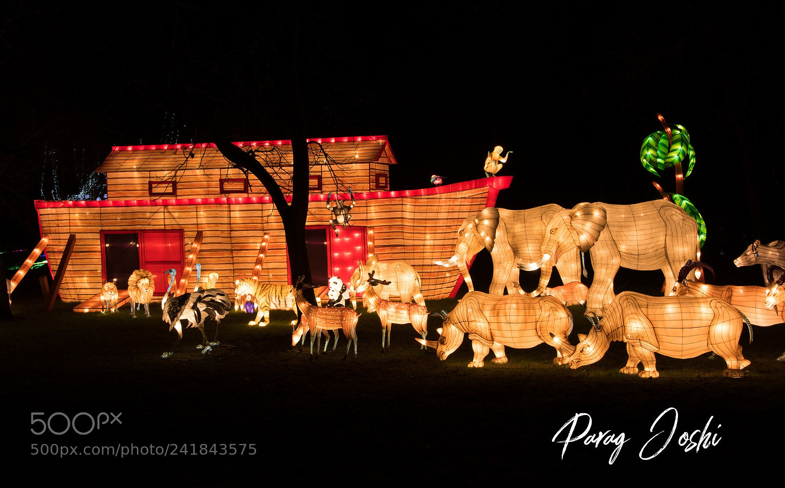 Nikon D810 sample photo. Magical lantern photography