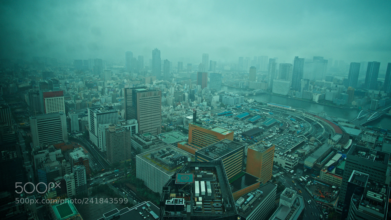 Nikon D600 sample photo. Tokyo - fog city photography