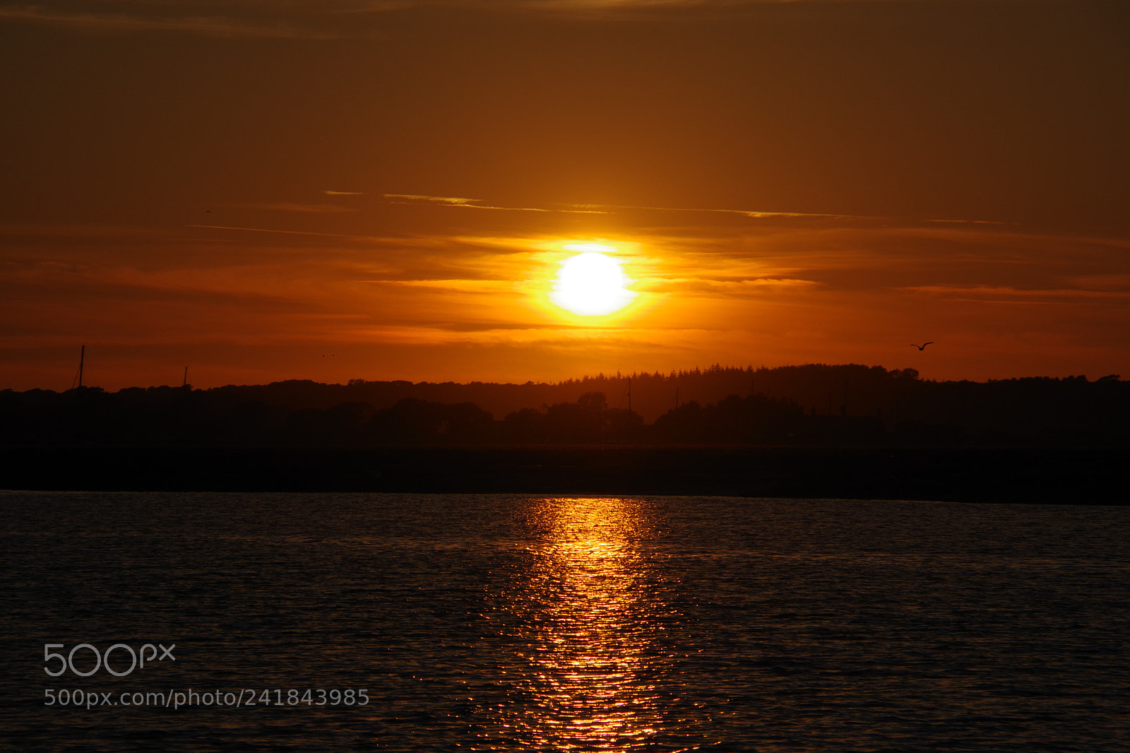 Pentax K-70 sample photo. The burning photography