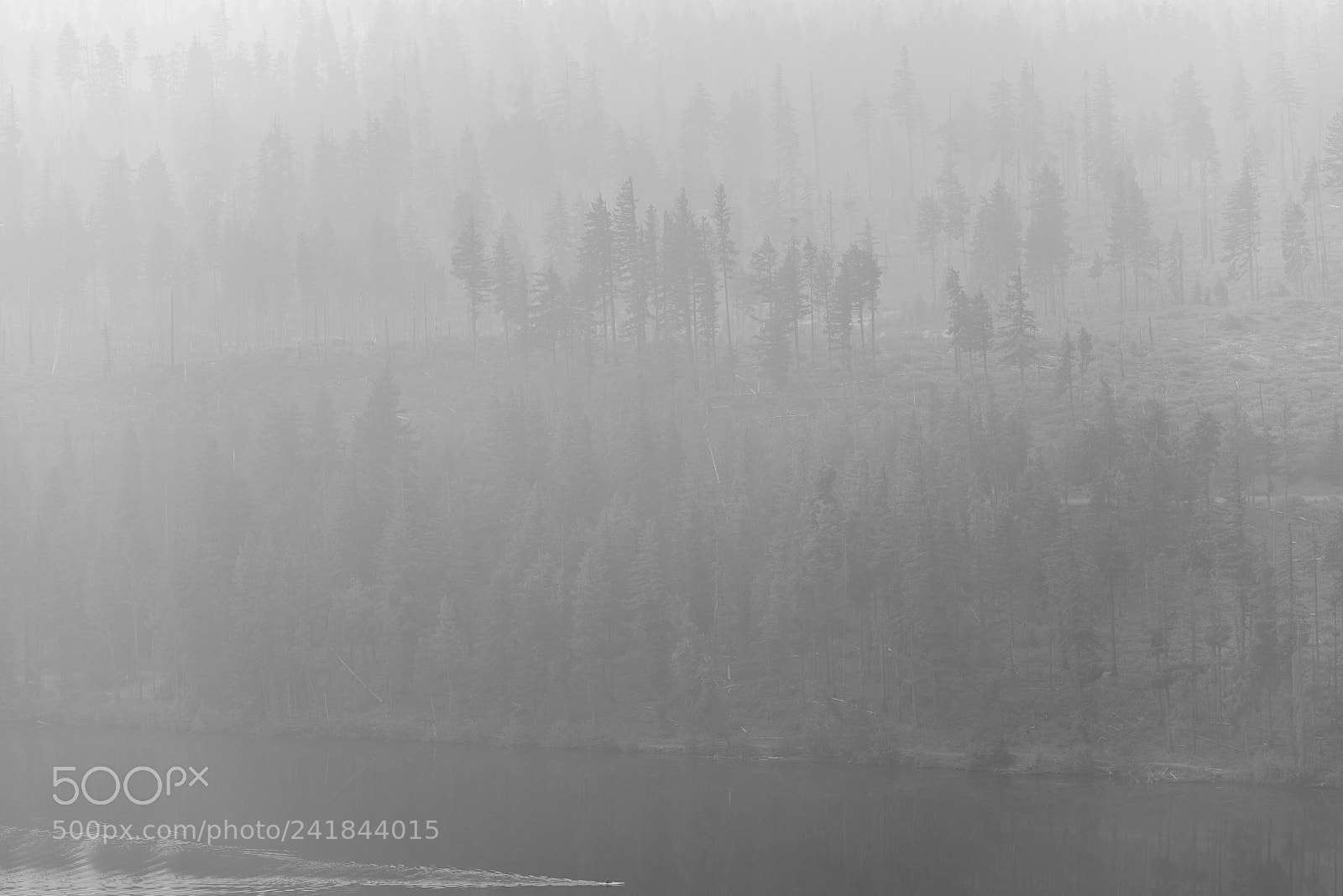 Nikon D800E sample photo. Smoke on the water photography