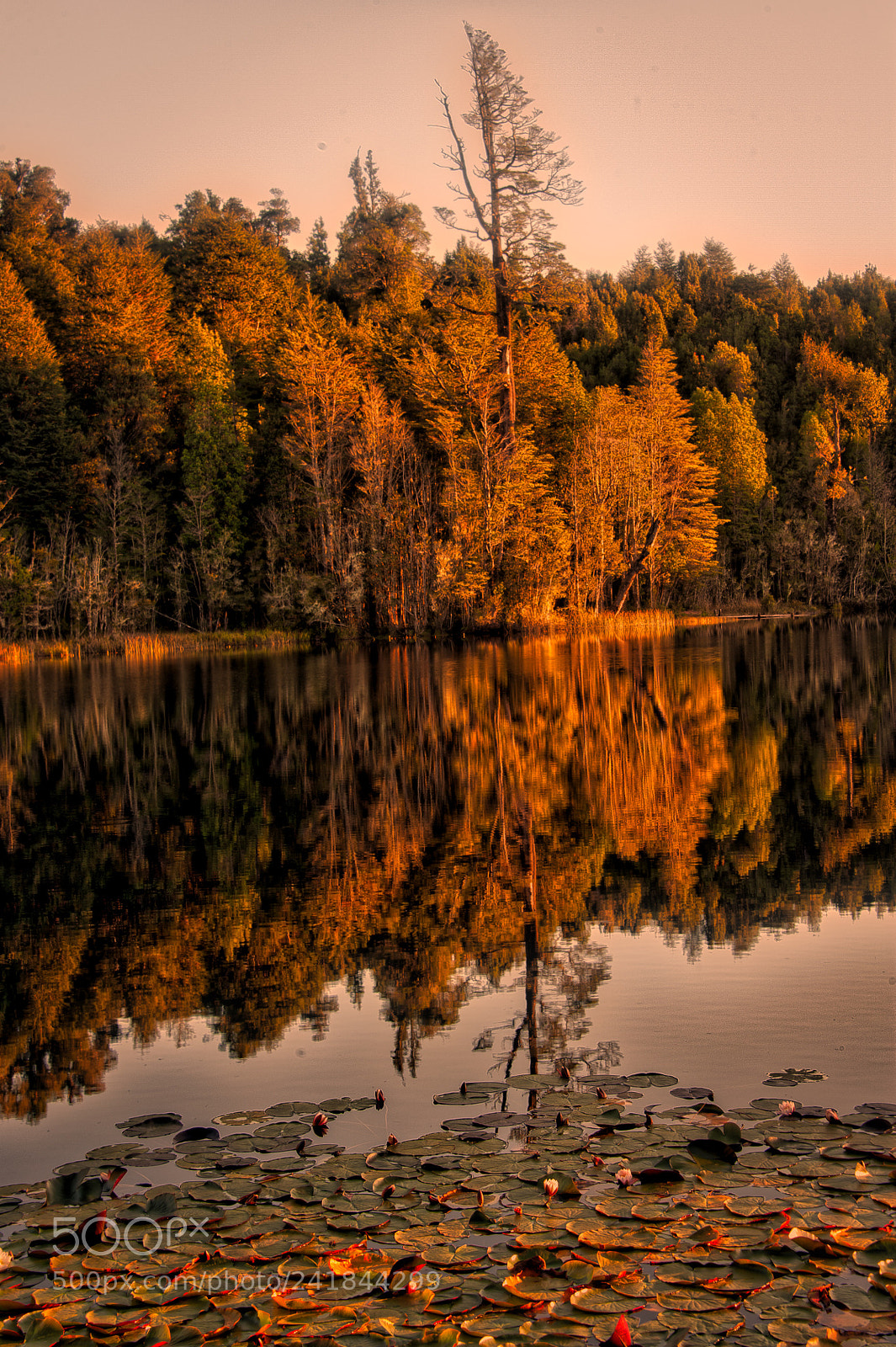 Nikon D700 sample photo. Reflejo photography