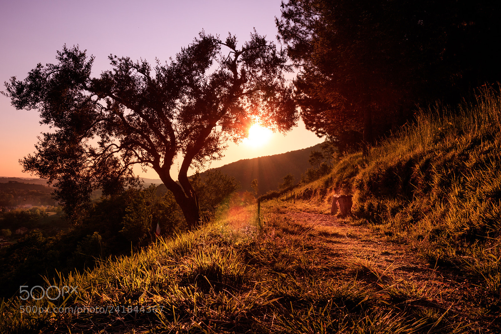 Canon EOS 760D (EOS Rebel T6s / EOS 8000D) sample photo. Sunset in hill photography