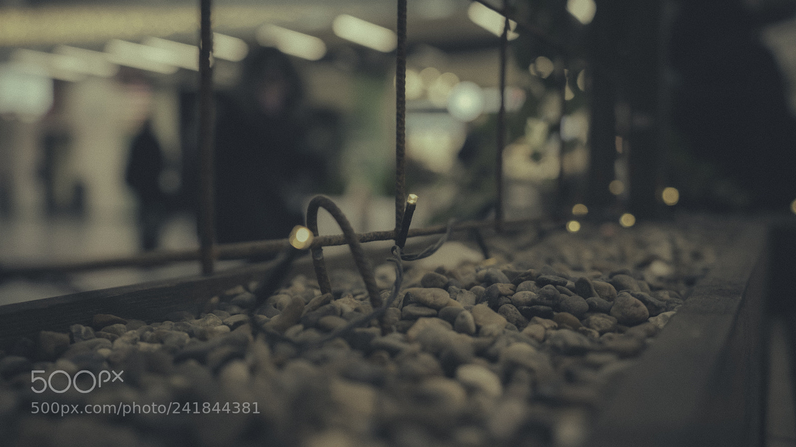 Sony a7R III sample photo. Light photography