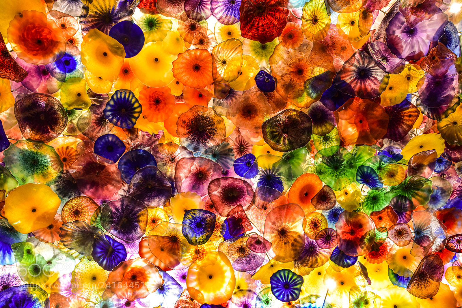 Nikon D810 sample photo. Glass flowers photography