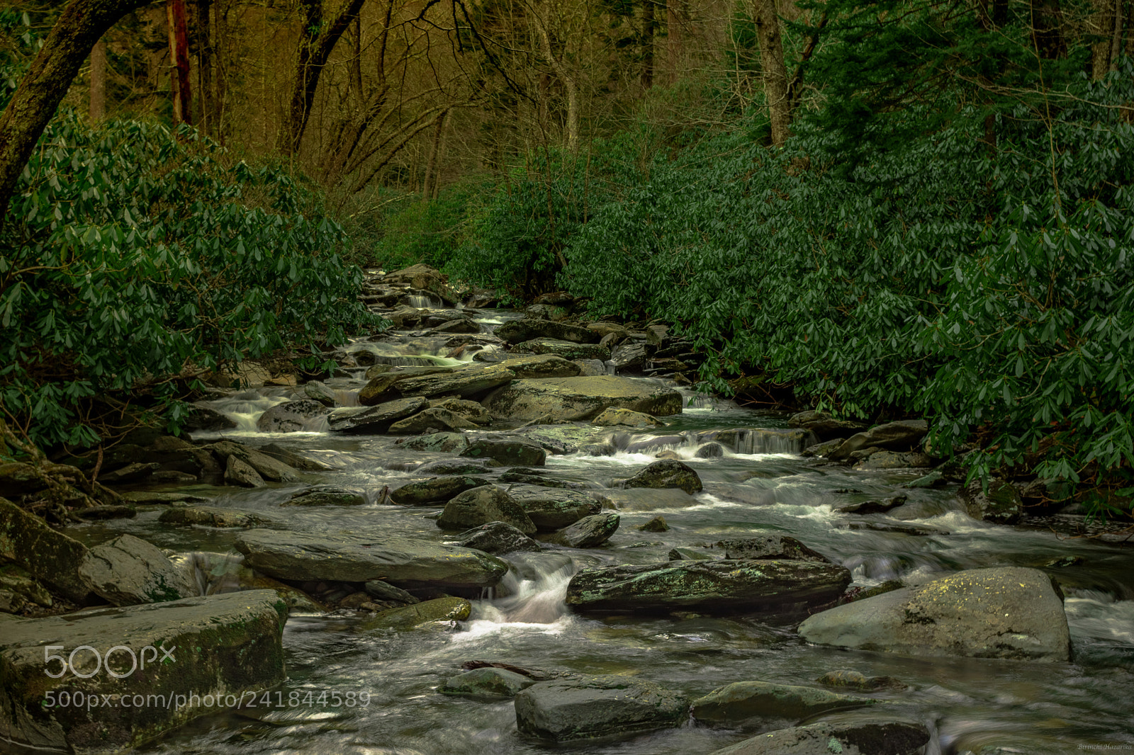 Nikon D7200 sample photo. The wild river photography