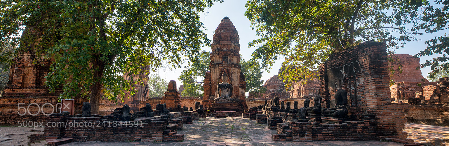 Nikon D800 sample photo. Ayutthaya photography