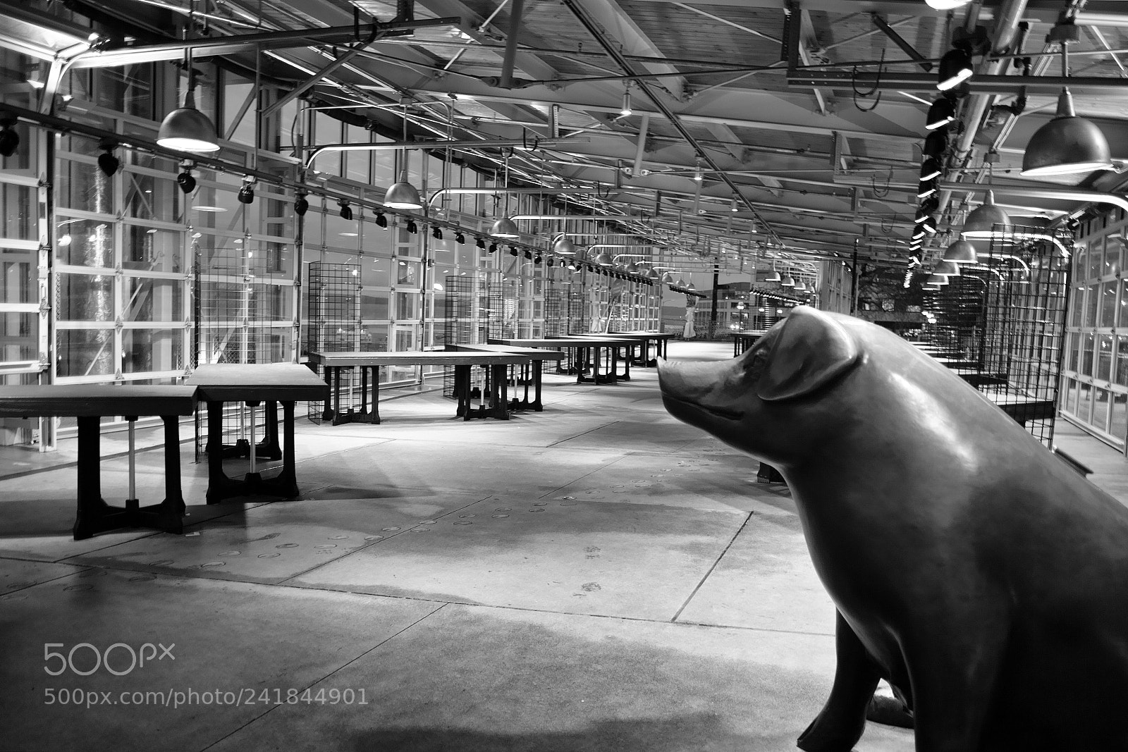 Sigma DP1 Merrill sample photo. Public market expansion photography