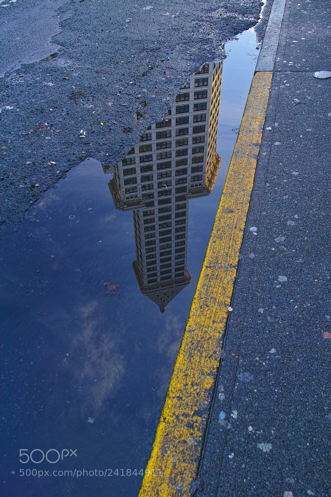 Sigma DP1 Merrill sample photo. Tallest building west of photography
