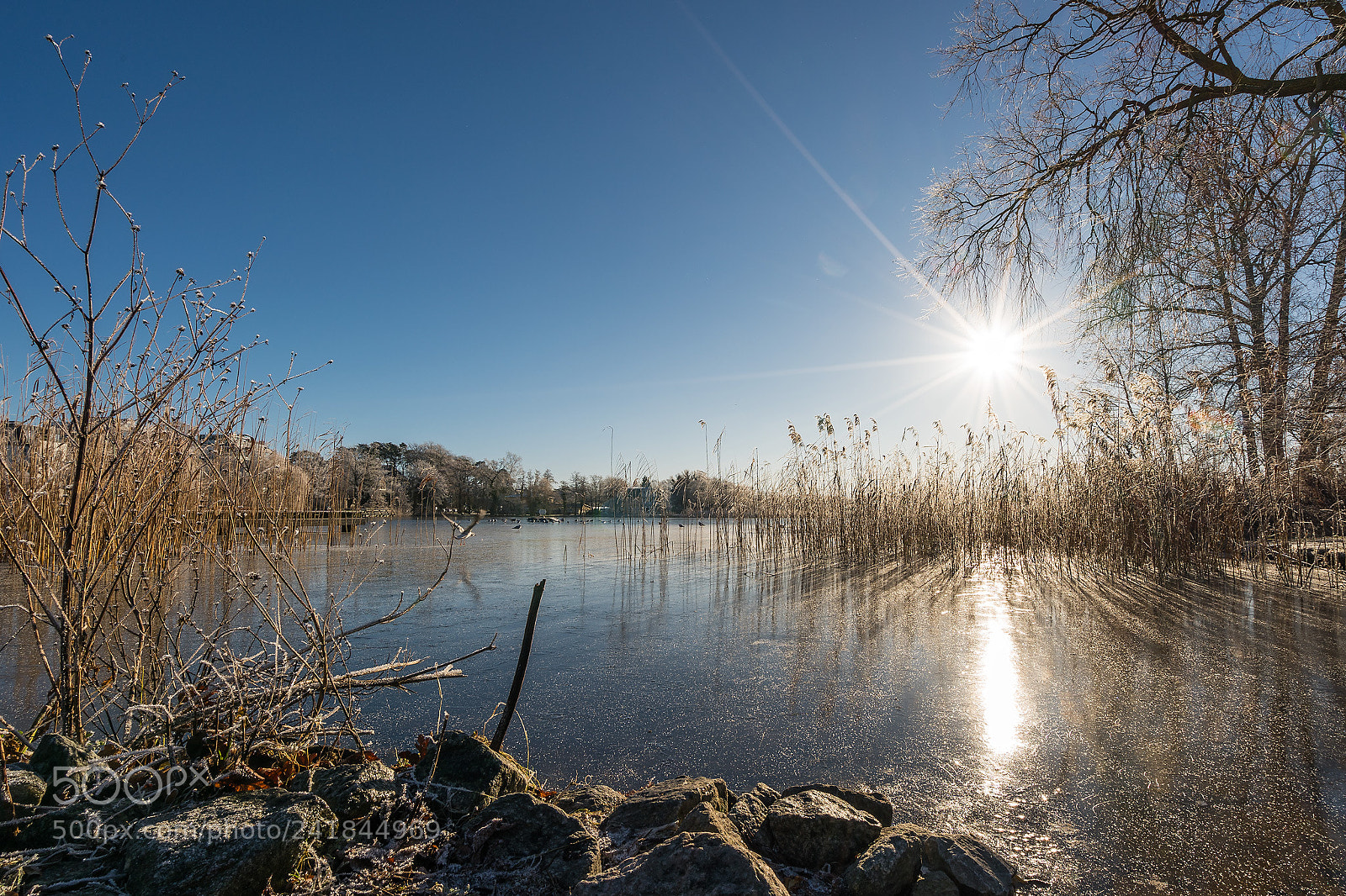 Sony a9 sample photo. Schloonsee photography